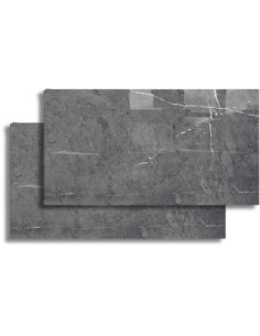 Silver Grey Eco Pulido 60x120